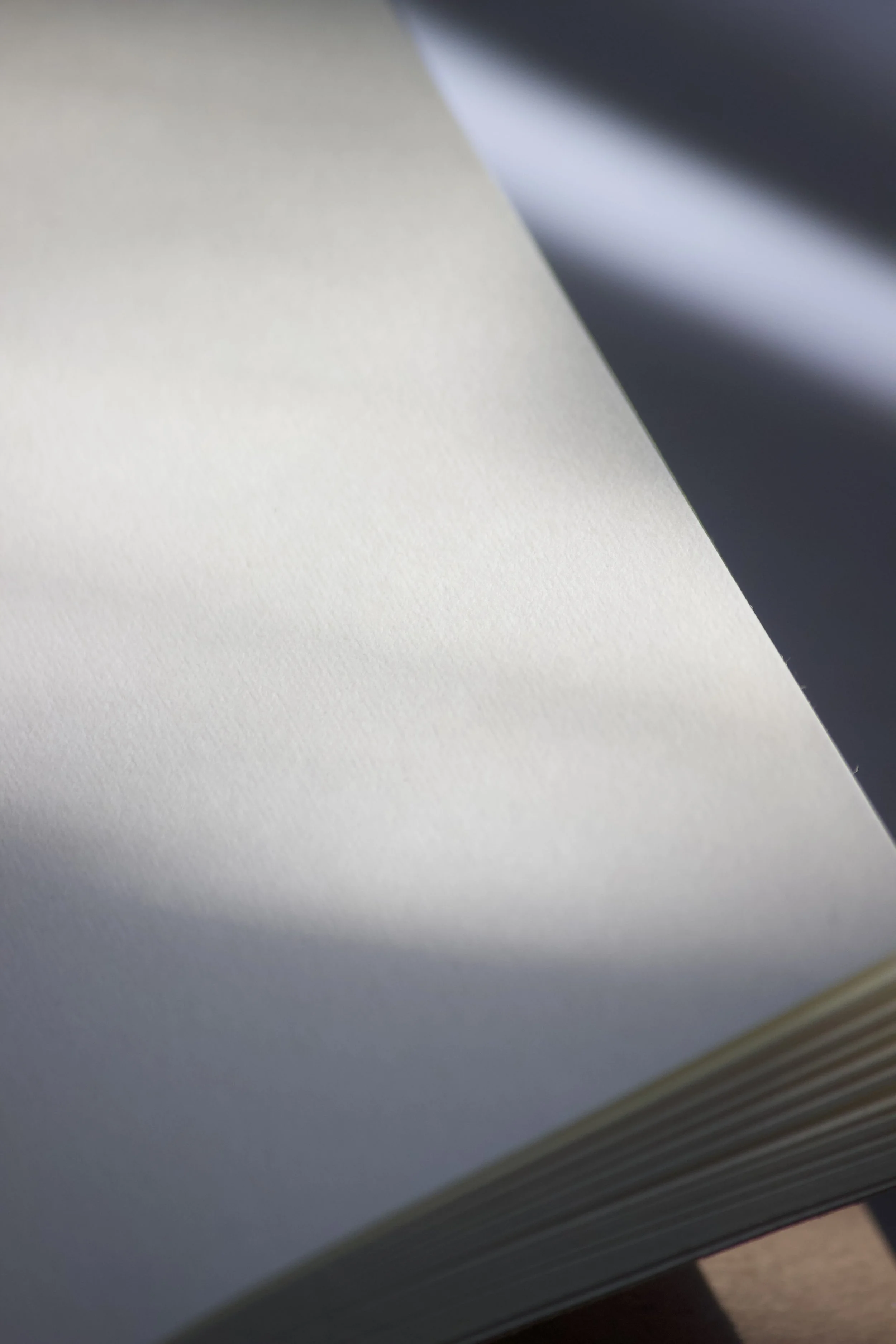IMG_2104.jpeg (Copy)