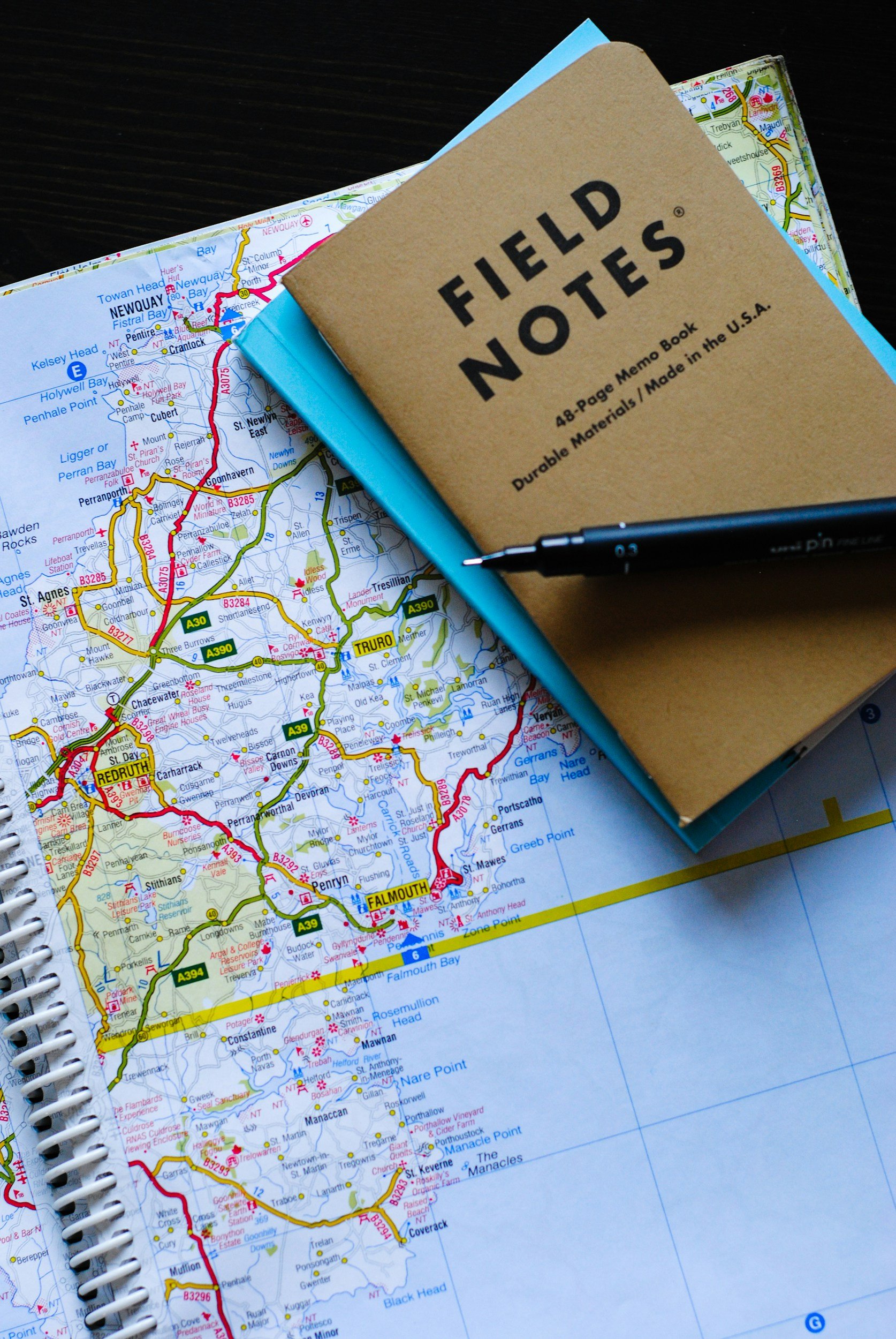 Prioritization and Road Mapping
