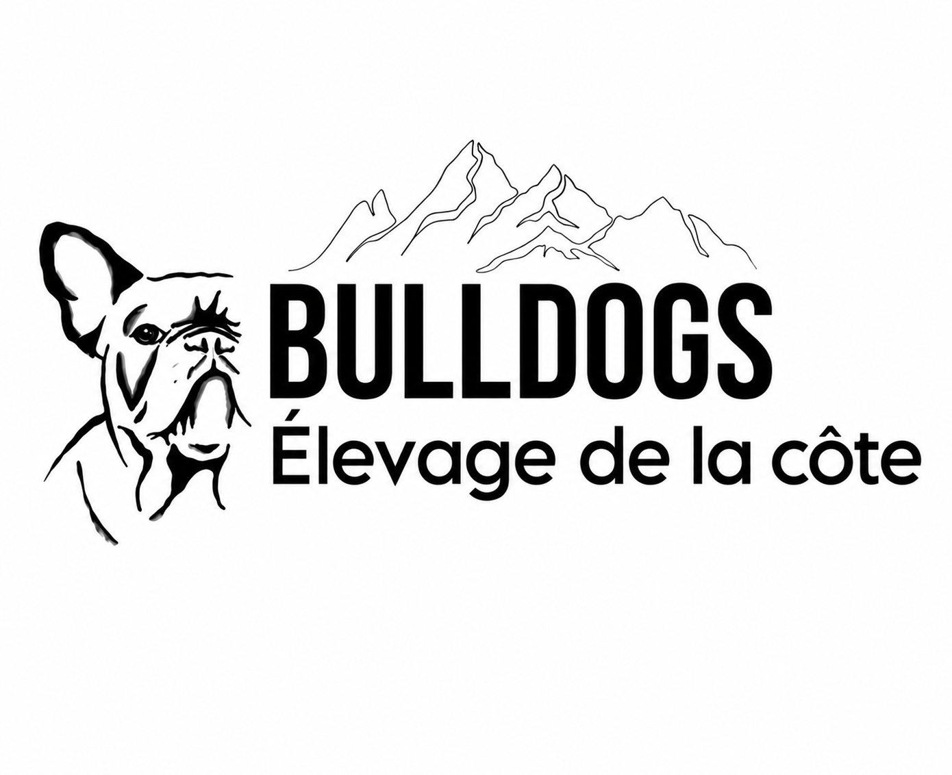 Bulldogs Élevage de la Côte