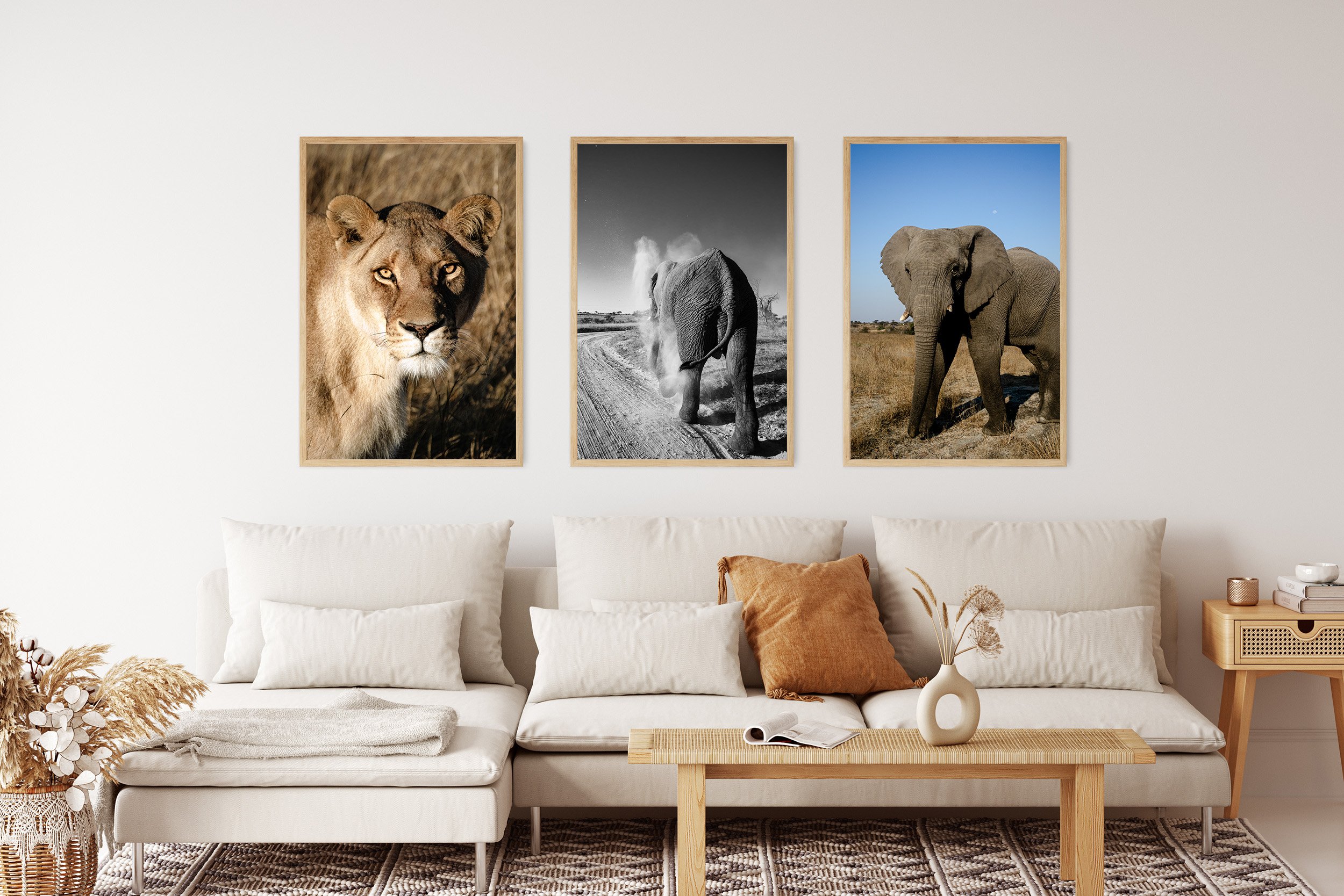 Dust Bathing Elephant Erin Boyd Photography styled (Copy)