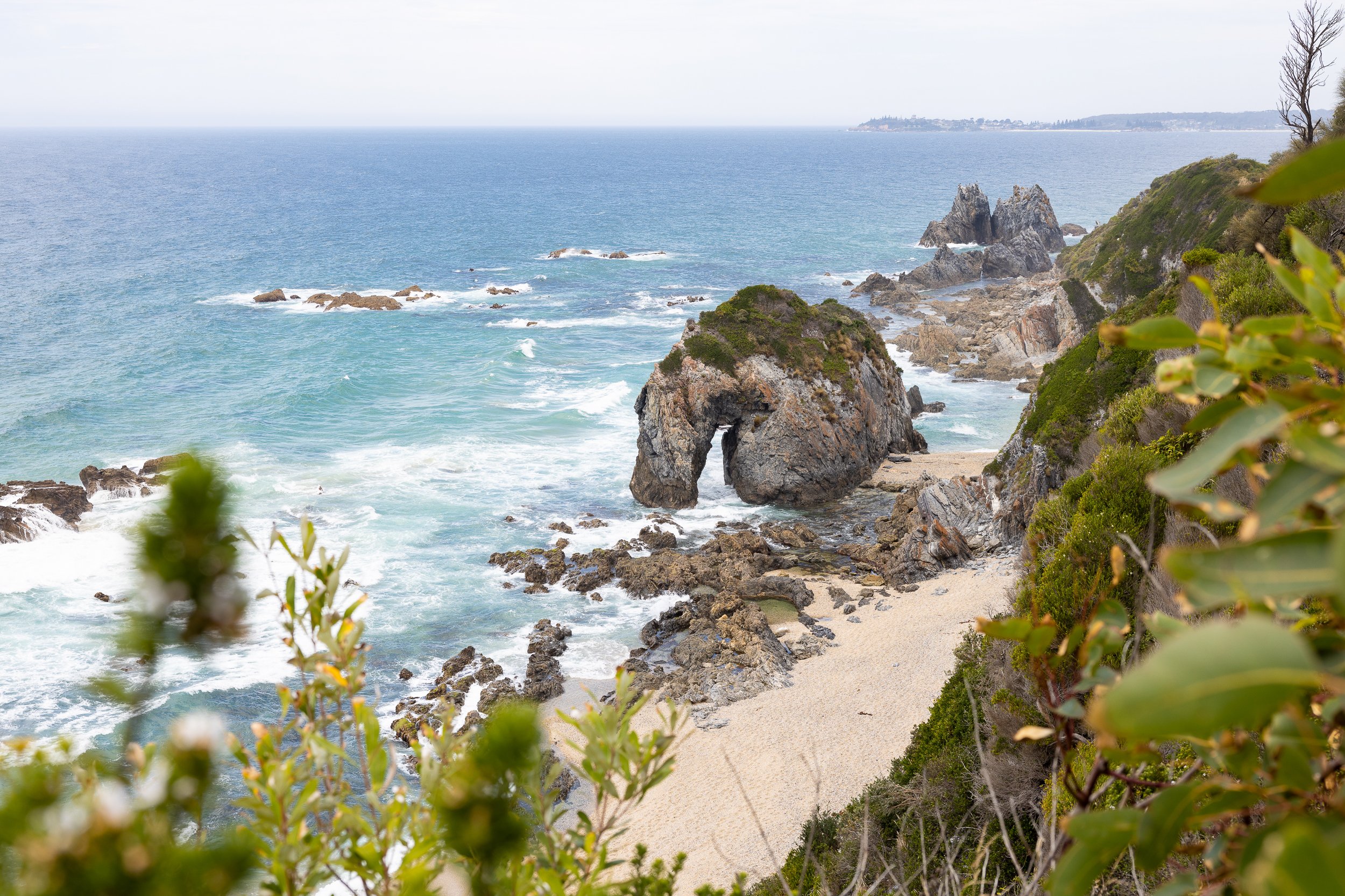 Ocean-Sapphire Coast Horsehead Rock-Erin-Boyd.jpg