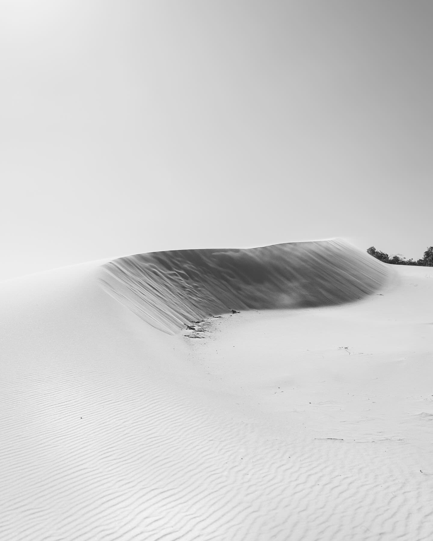 &bull; SAND DUNES &bull;

The epitome of change, transformation, protection and strength. 

A beautiful representation of what happens within us, the events and experiences we go through changing us like a shifting landscape. 

Struggling to accept t