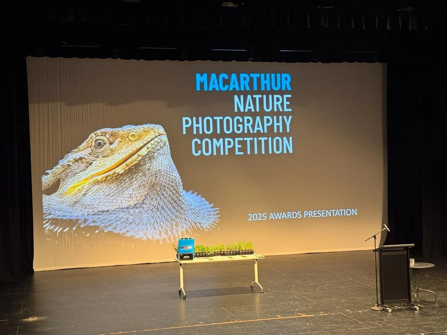 Last month I was invited to the Macarthur Nature Photography Competition Awards night for 2025, a wonderful initiative brought to the community by @camdencouncilnsw @campbelltowncity and @wollondillyshirecouncil. 

Held at Wollondilly Performing Arts