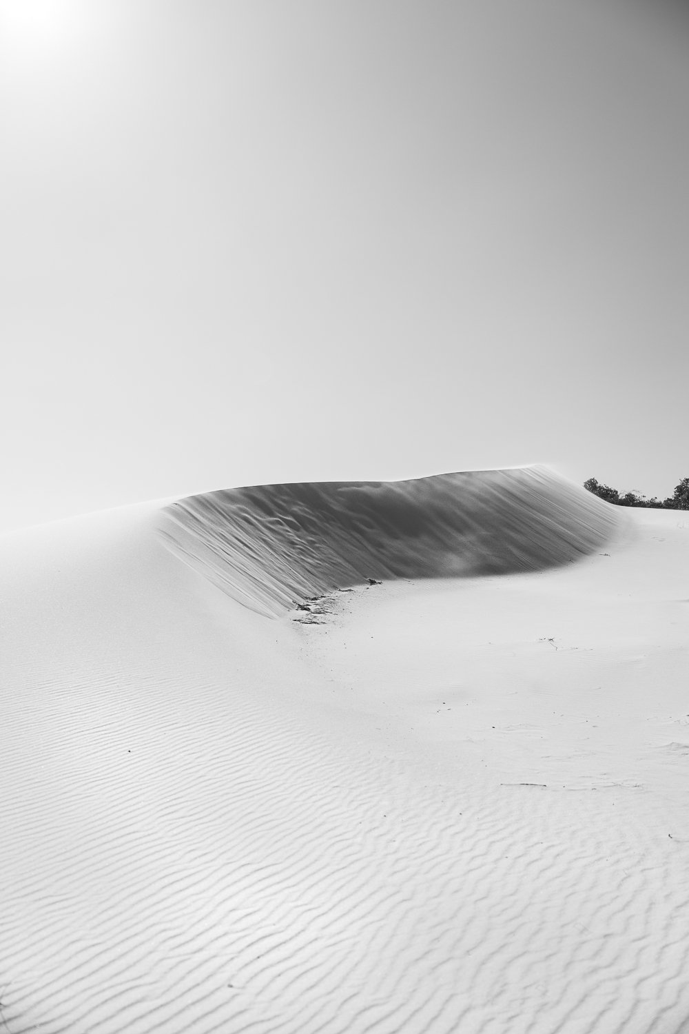 Ocean-Sand Dunes-Erin-Boyd-1.jpg