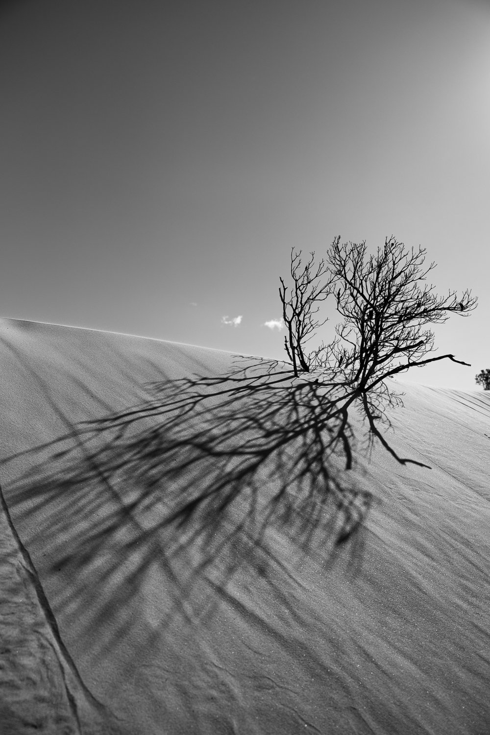 Ocean-Sand Dunes II-Erin-Boyd-1.jpg