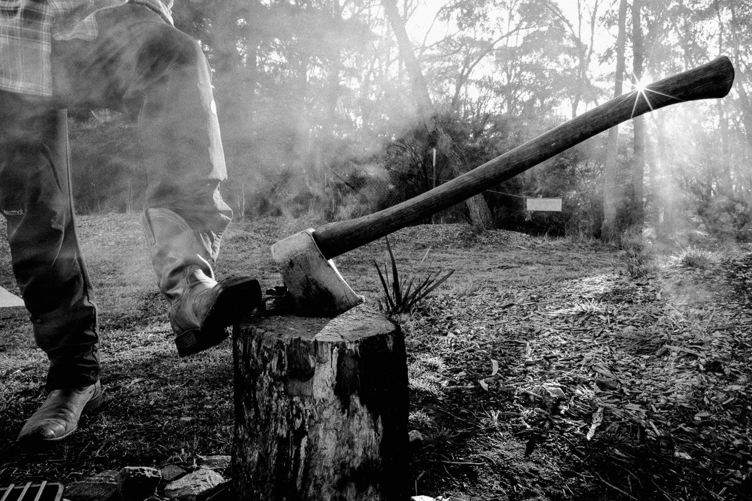 Australia-Pops Axe-Erin Boyd.jpg