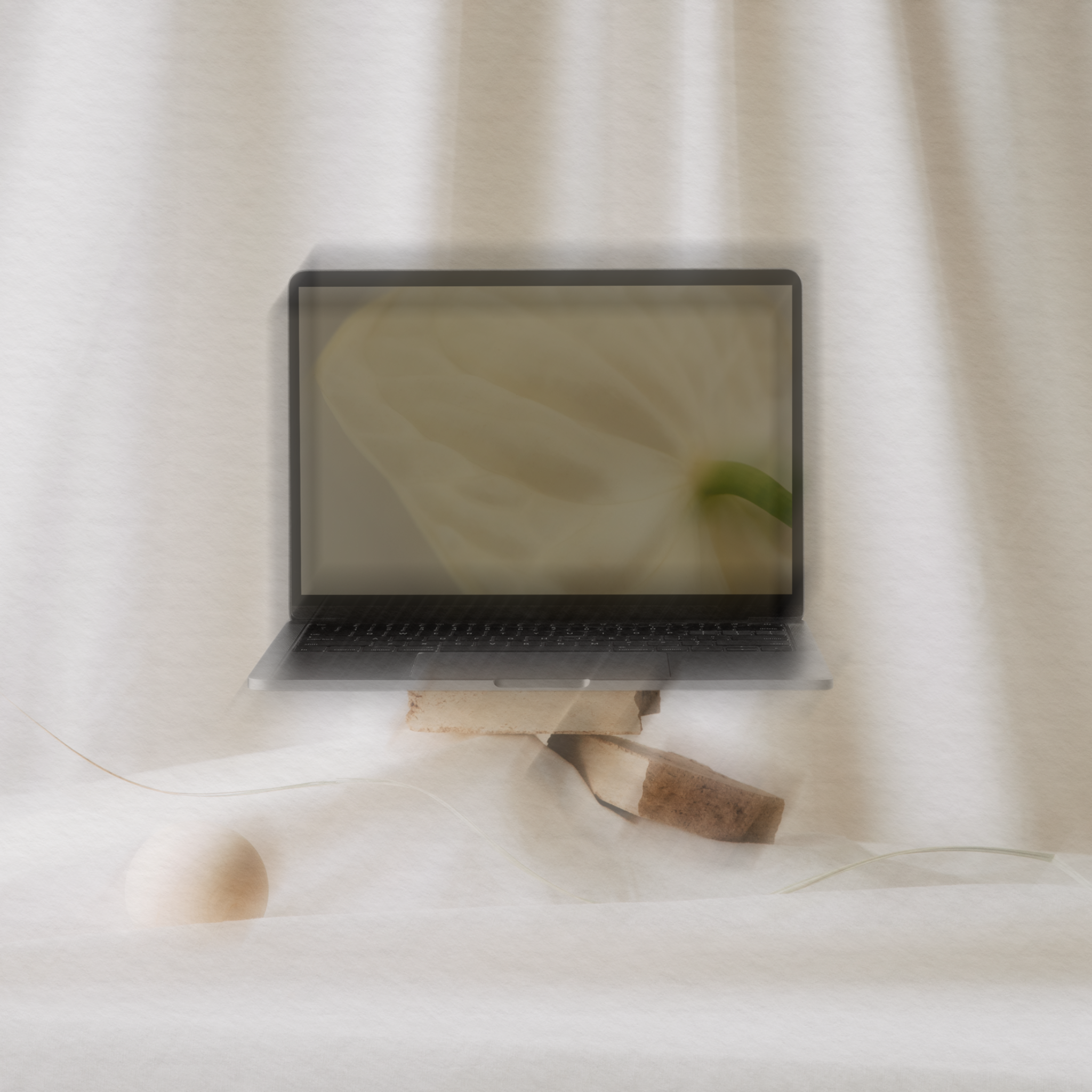 LUXURY BRANDING and WEB DESIGN