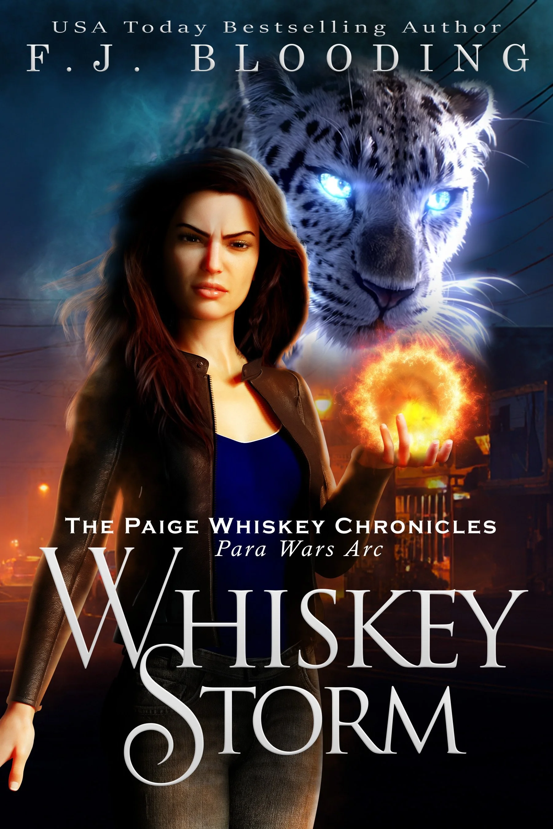 8.2026d1 Whiskey Storm Ebook.jpg