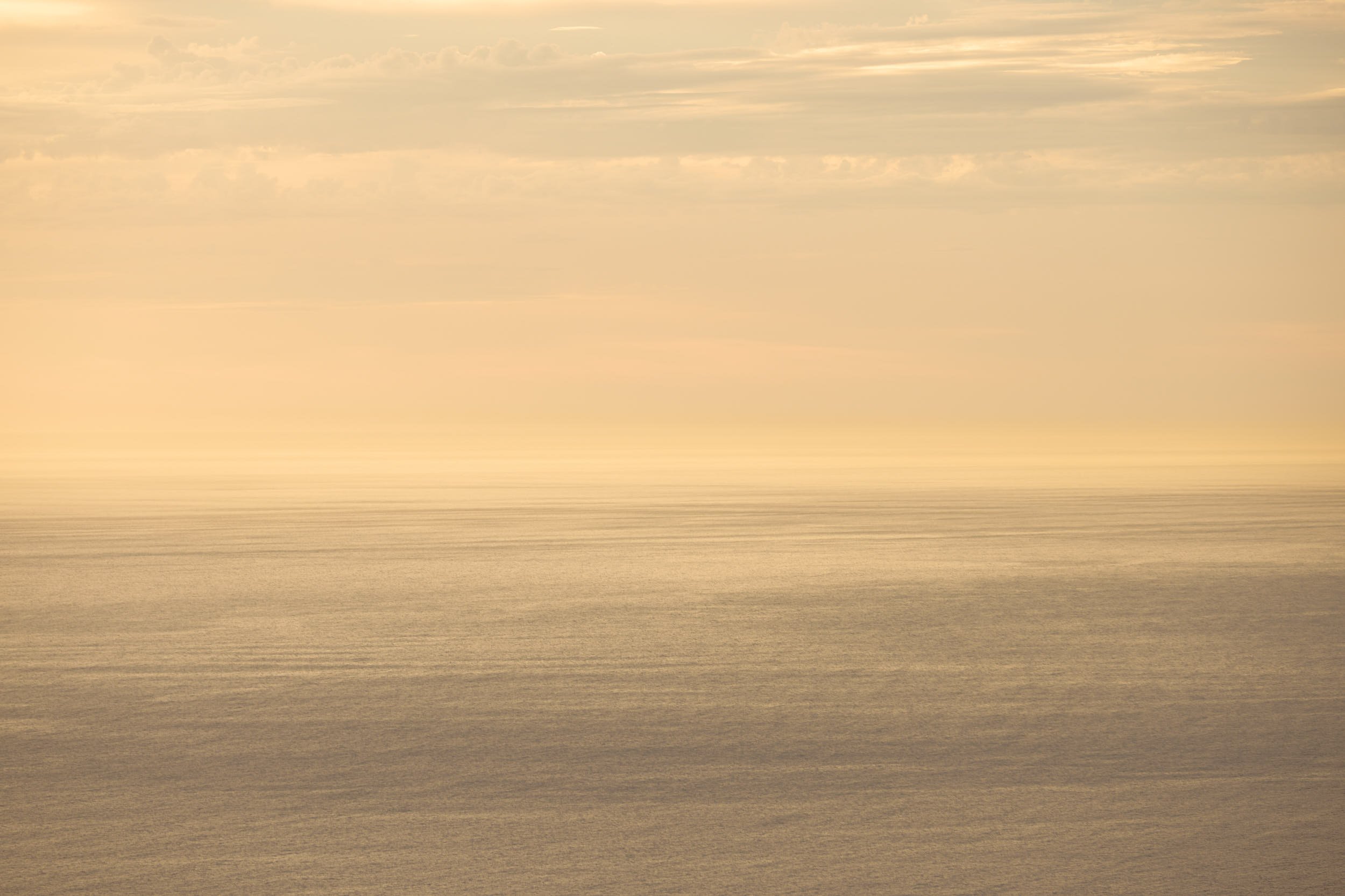 230125_SublimePoint_097A8553-1.jpg