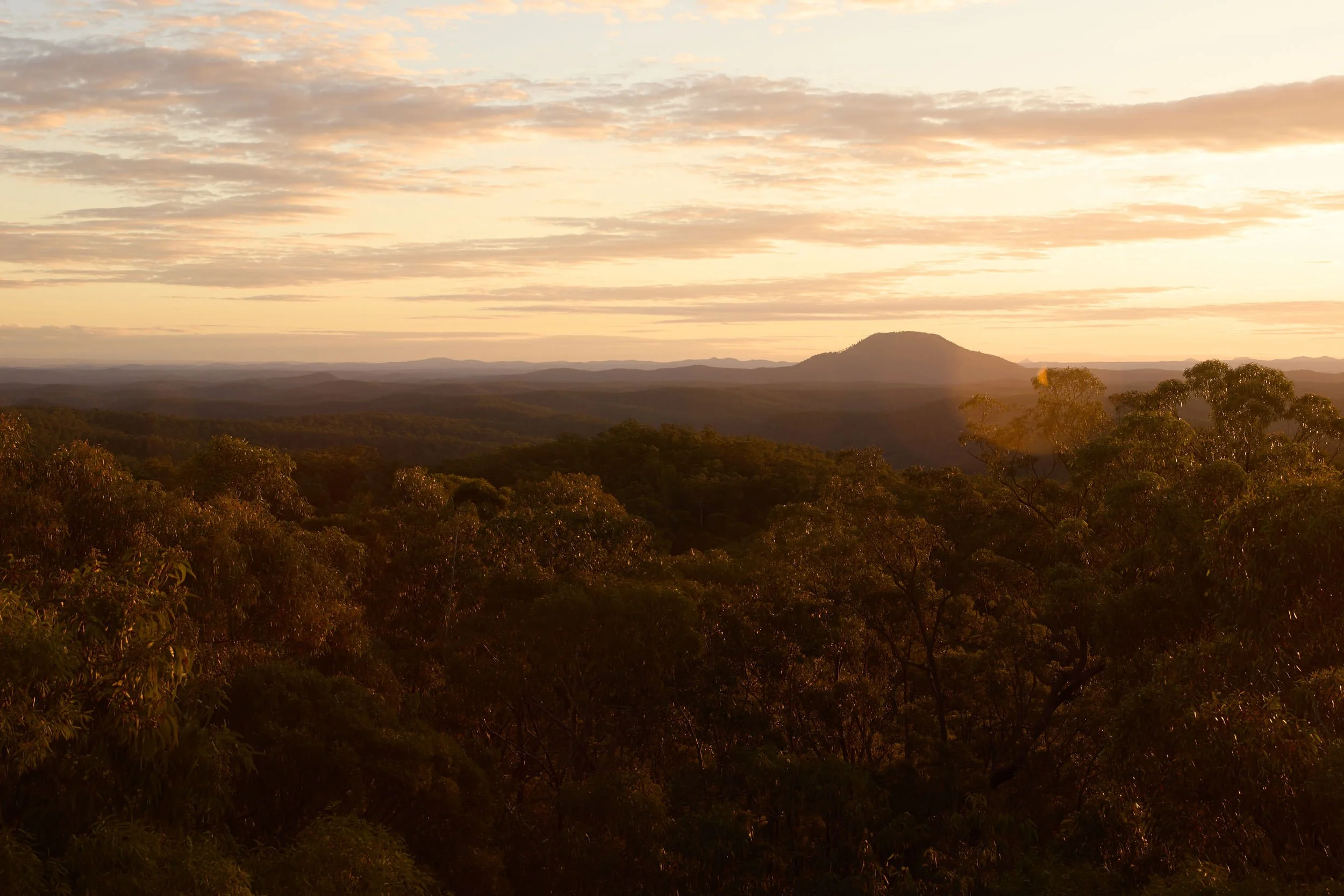 WillHartl_DestinationNSW_Tourism_HunterValley_2O1A0552.jpg