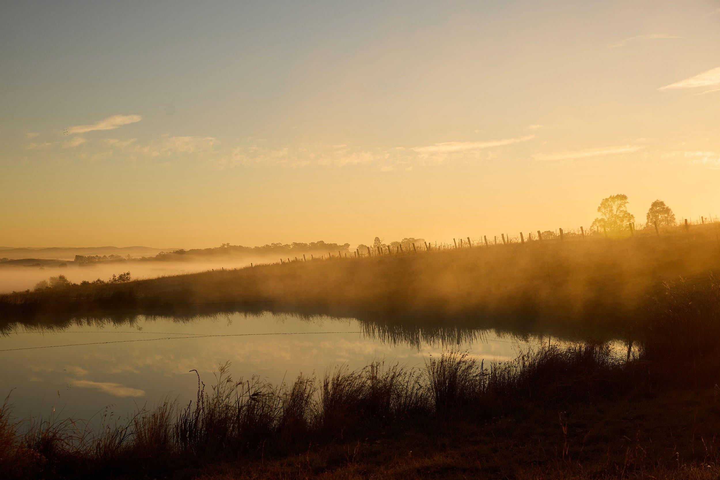 WillHartl_DestinationNSW_Tourism_HunterValley_20250717_Pokolbin_MtPleasantWines_2038.jpg