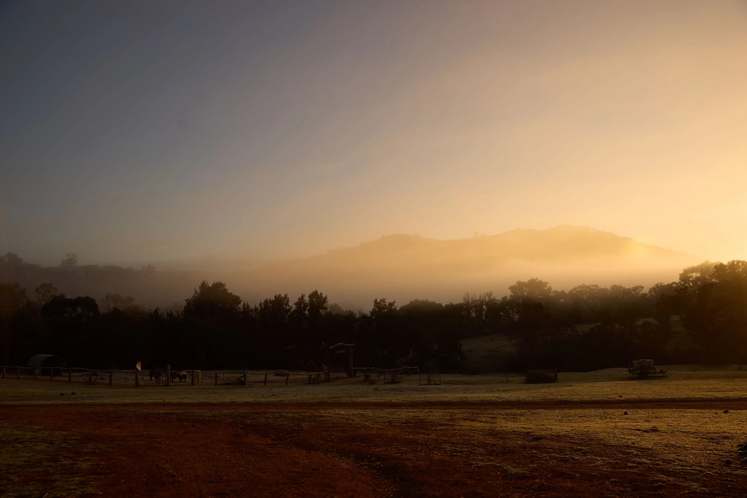 WillHartl_DestinationNSW_Tourism_MidWestern_20250721_Bathurst_ChesleighHorseRiding_2040.jpg