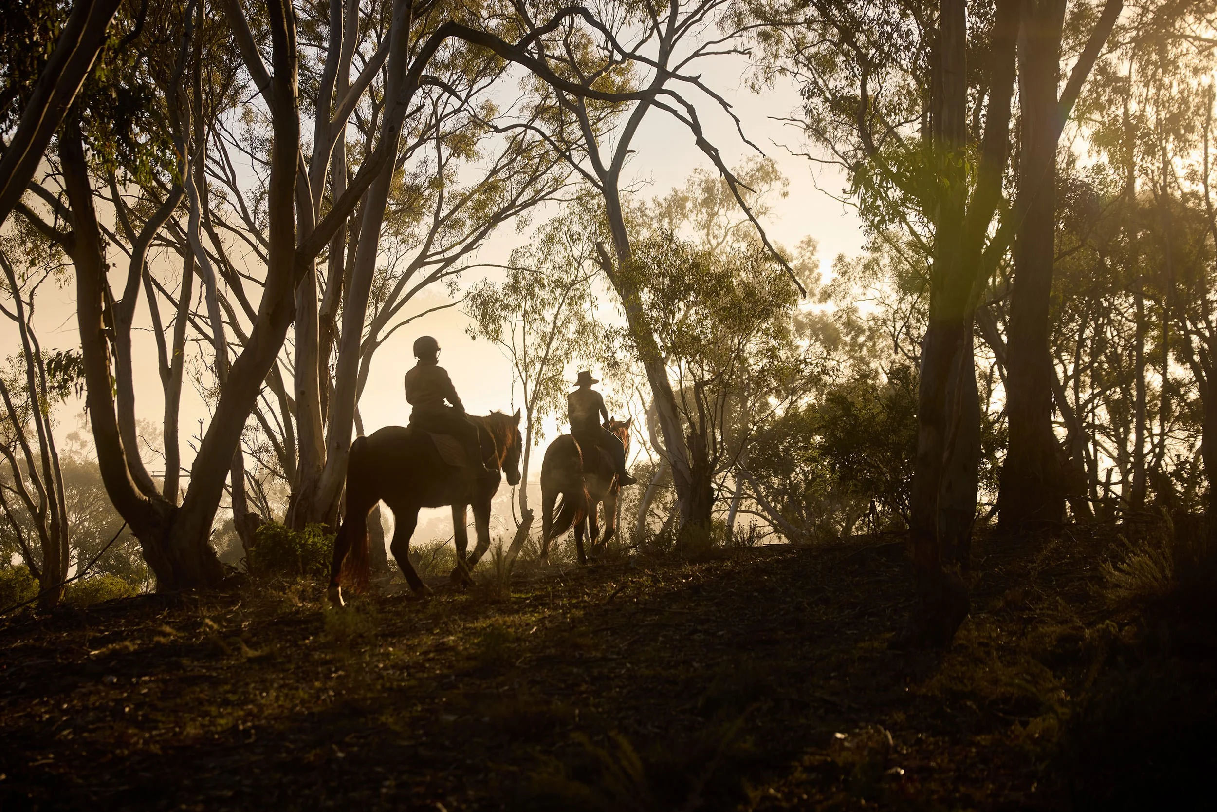 WillHartl_DestinationNSW_Tourism_MidWestern_20250721_Bathurst_ChesleighHorseRiding_2189.jpg