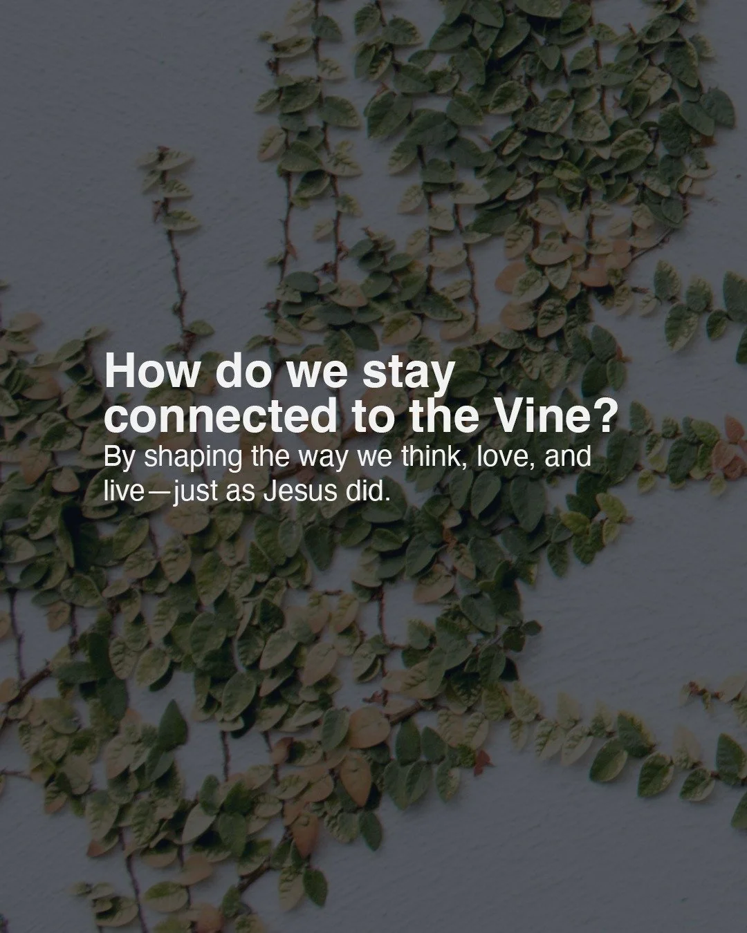 Staying connected to the Vine means aligning our thinking, loving, and living with Jesus.
Studying Scripture shapes our minds to think more on Jesus
Worship stirs our hearts to love like Jesus
And true love overflows into living on his mission.