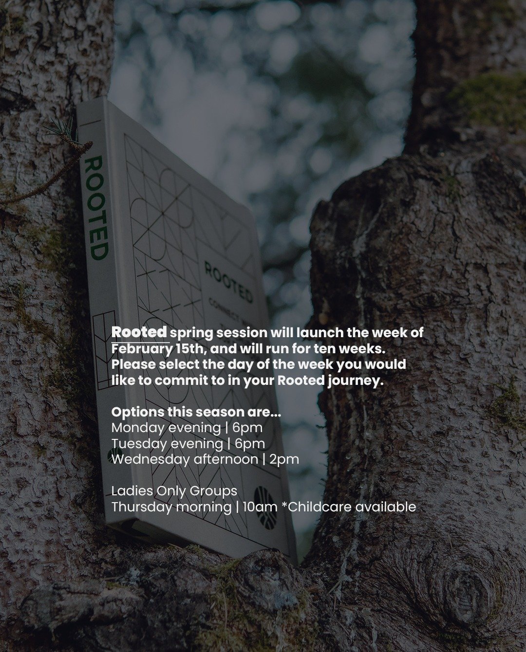 Rooted is a ten week journey designed to connect you with God, the church, and your purpose.
 
Rooted is a ten-week journey designed to connect you with God, the church, and your purpose. and the lives of others involved. That is why we ask potential