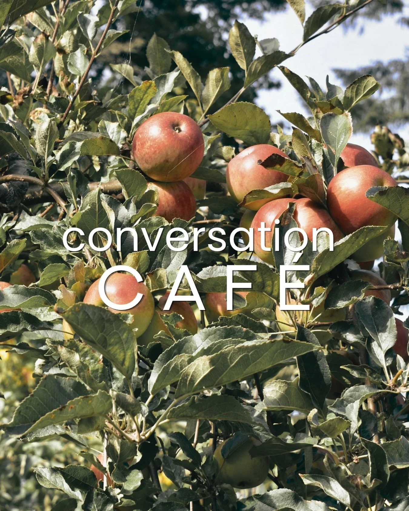 Join us this Saturday, October 17, 10 AM - 2 PM at Gunderson&rsquo;s Farm for a fun day with refugee families as we build relationships and practice English through conversation, apple picking, a potluck lunch, and cider pressing. 
Bring a chair, out