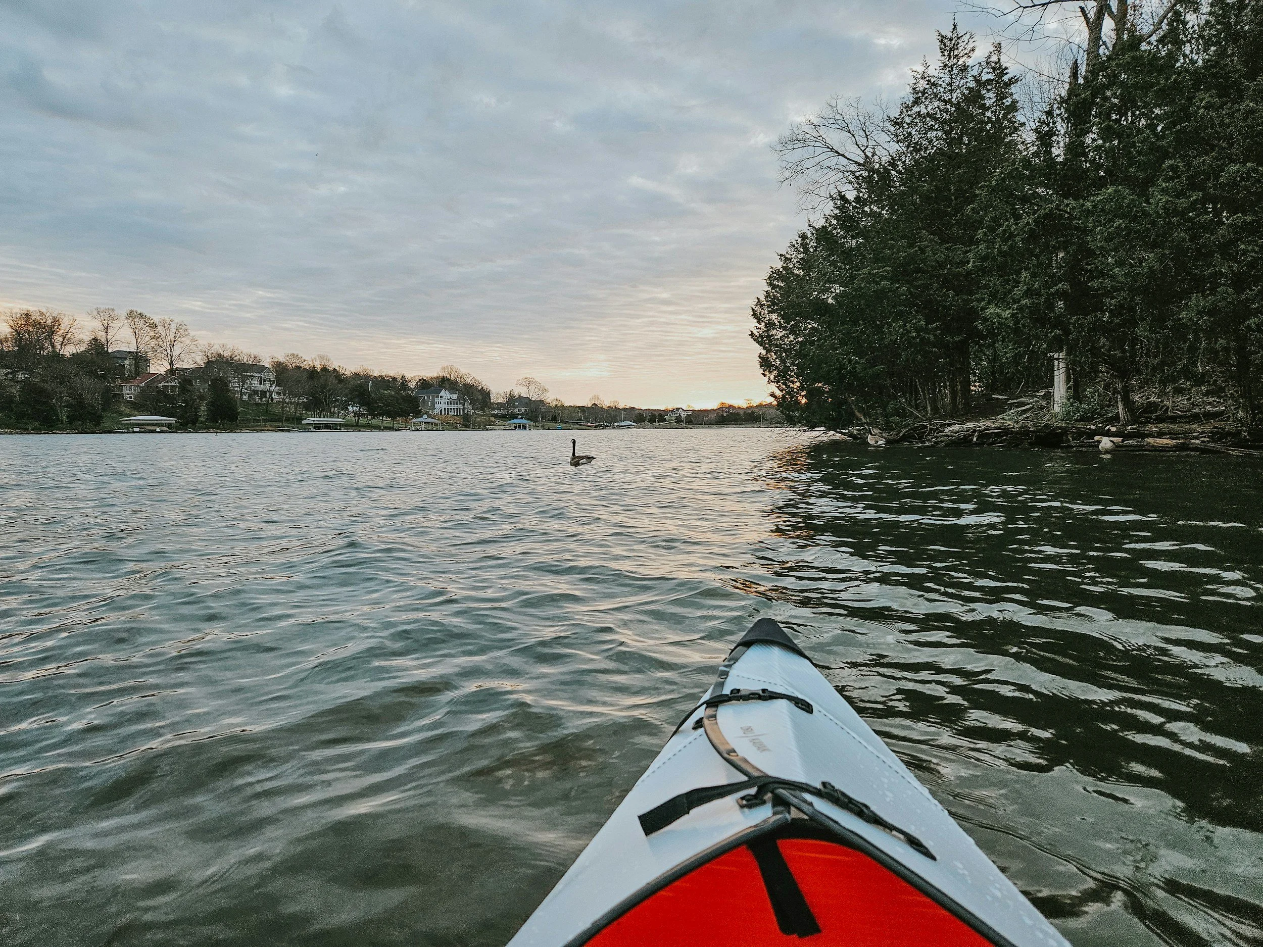 View-from-kayak-river.jpg