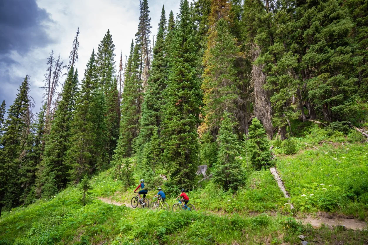 People-mountain-biking-Colorado.jpg