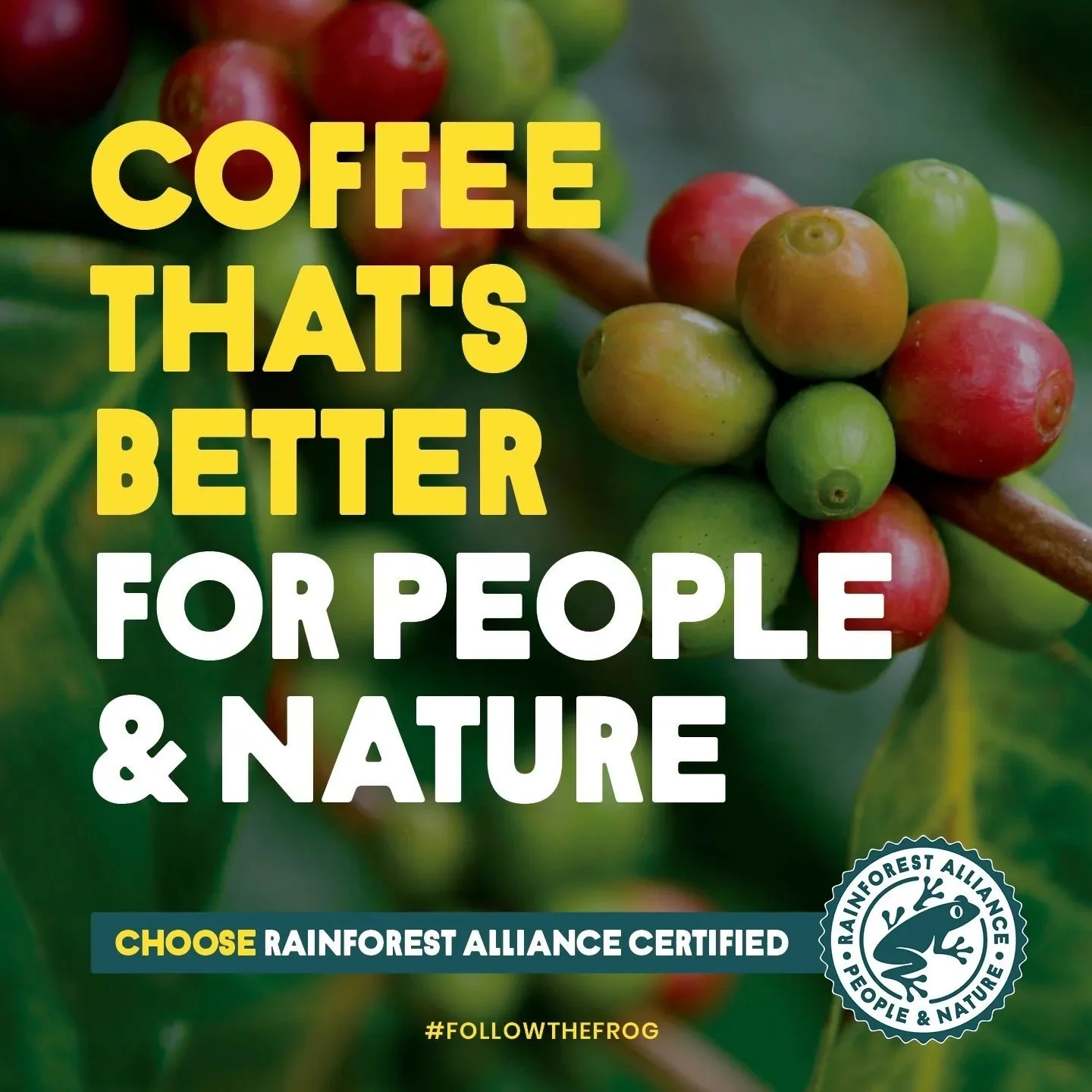 Rain Forest Alliance Certified and Sustainability