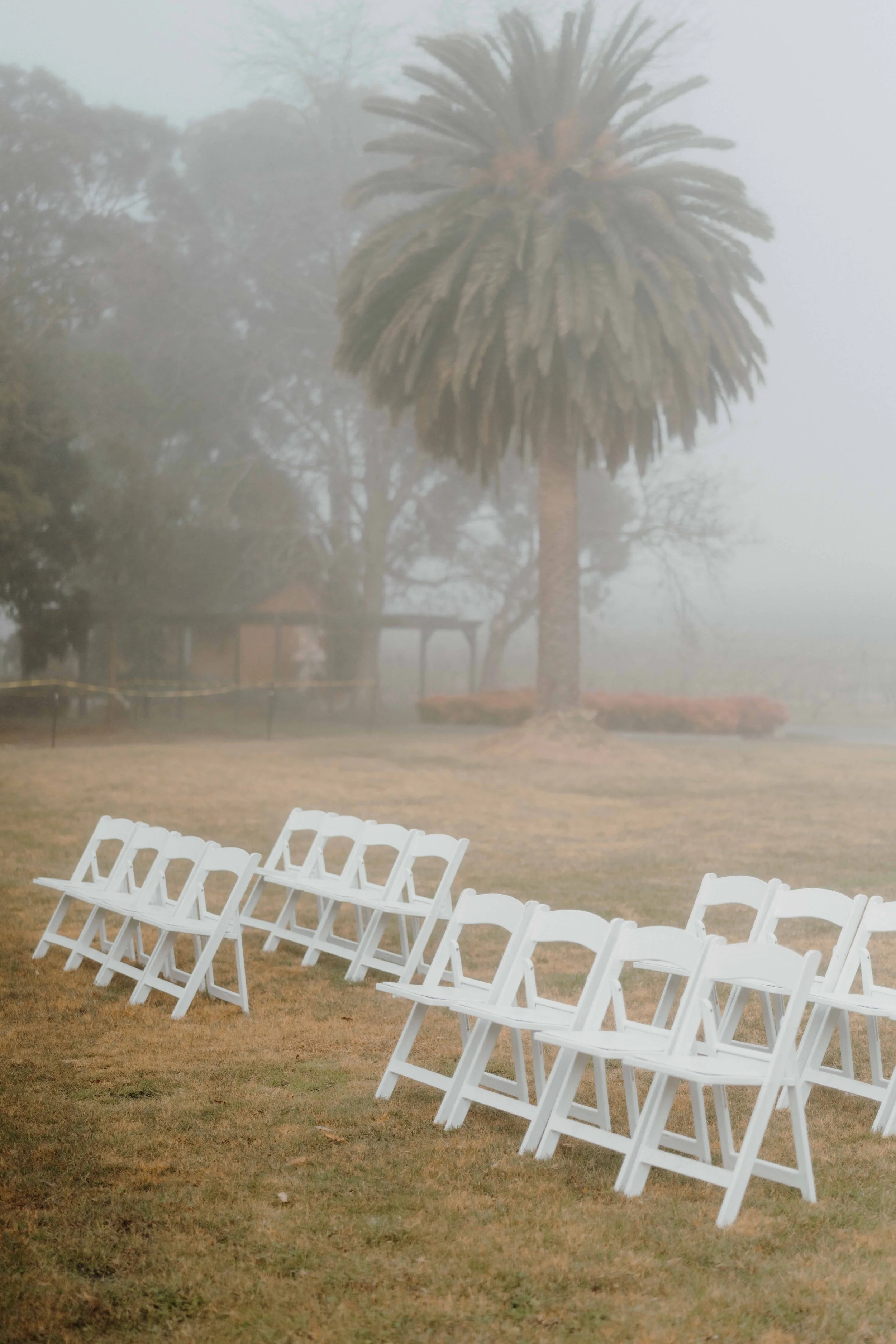 fergusson winery wedding photography.jpg