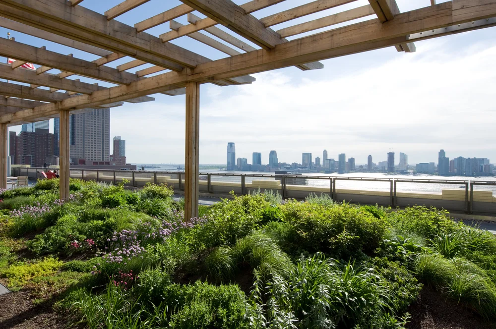 Image showcasing Green Roofs for Healthy Cities