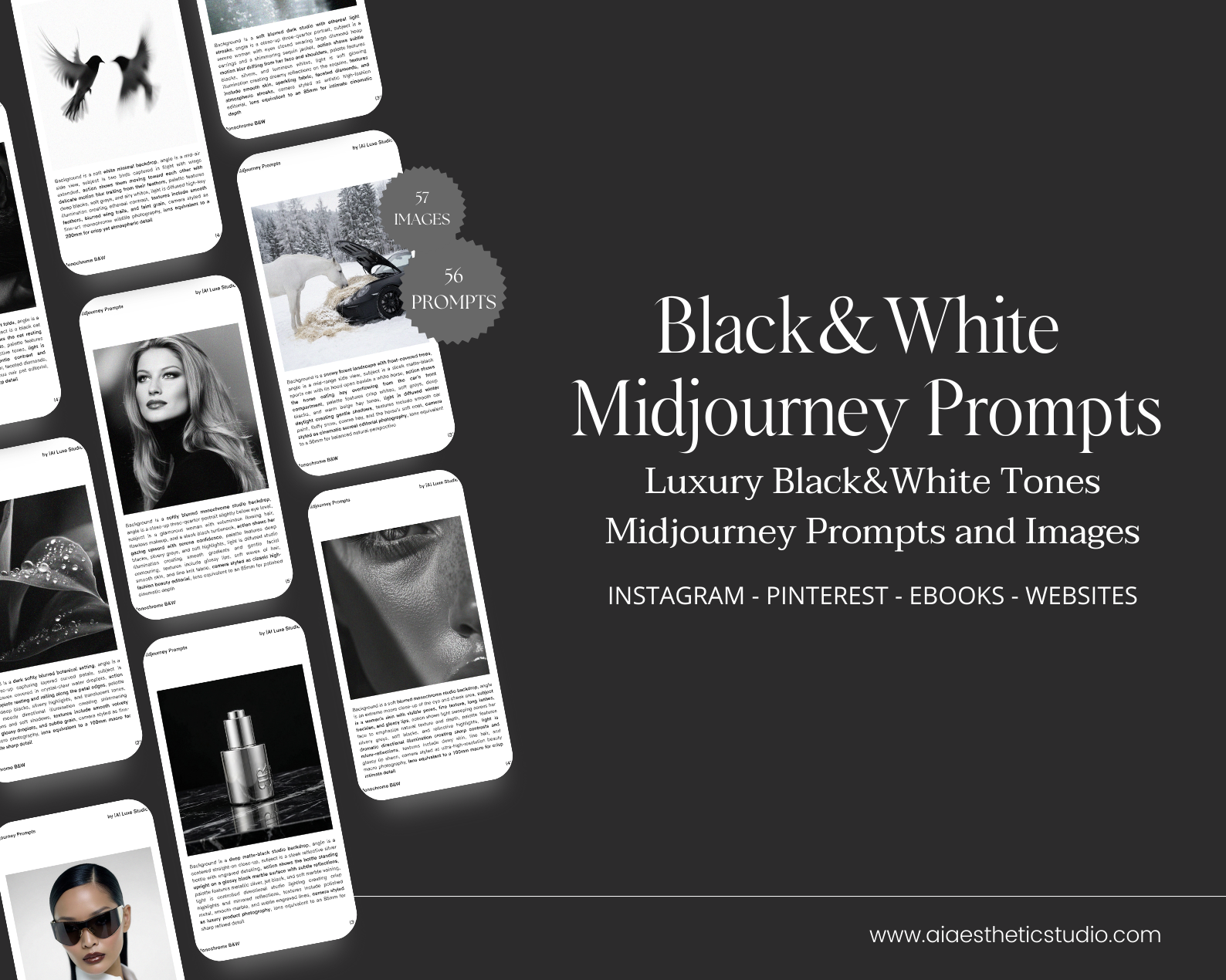 BLACK AND WHITE MIDJOURNEY PROMPT GUIDE