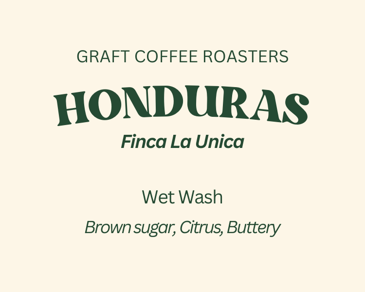 Honduras Washed