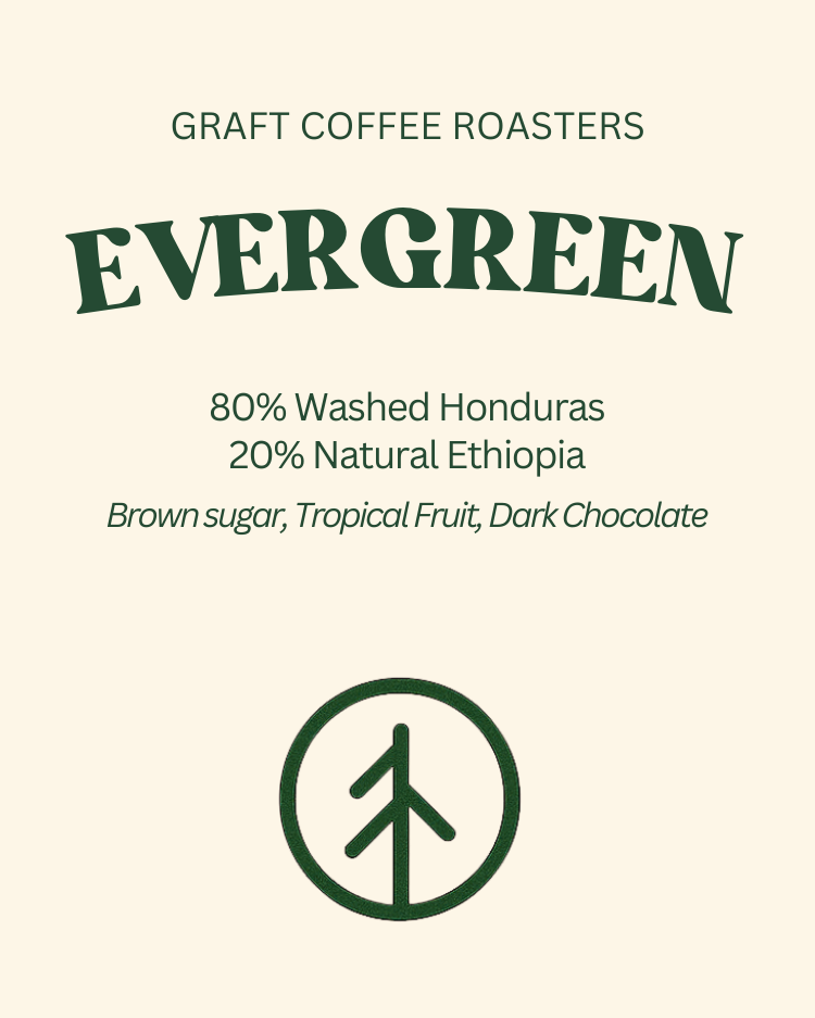 Evergreen.png
