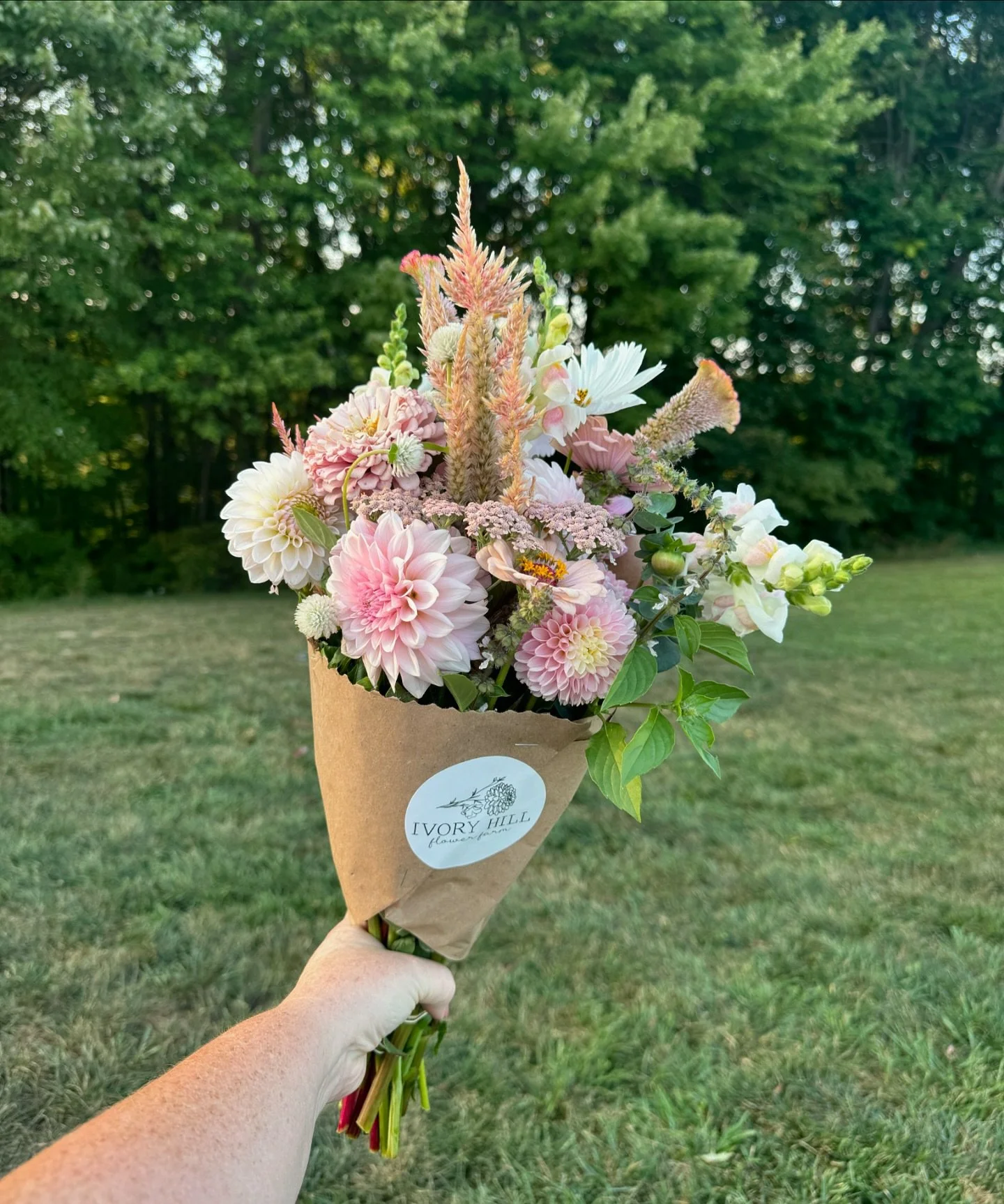 THANK YOU for your back to school floral orders! Y&rsquo;all wiped me out of my dahlia stock that I had just coming up 😍 no worries I will have more in a few days 🩷🩷 thank you thank you!!