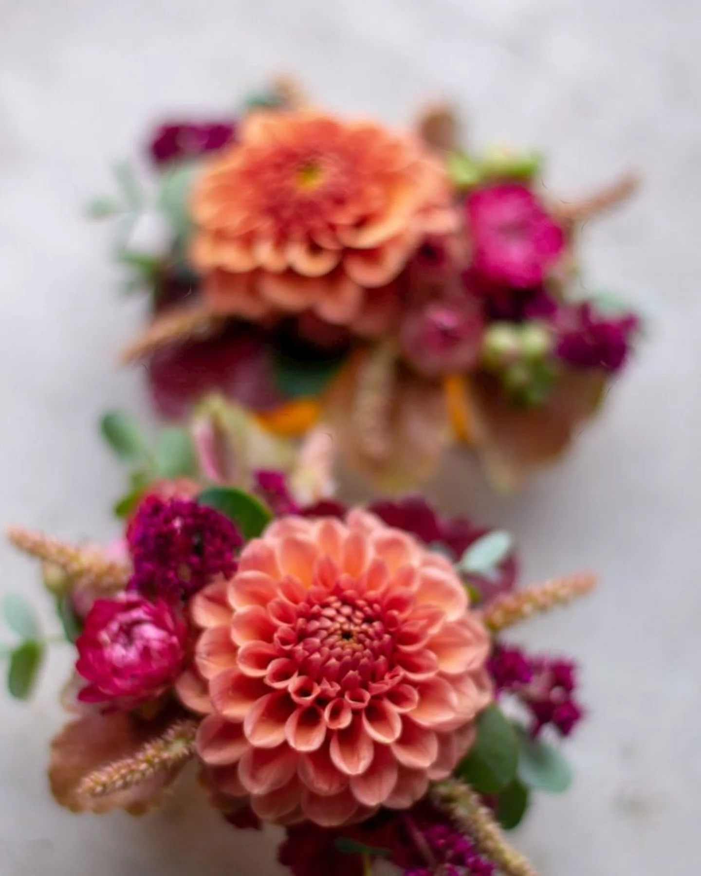 We are now accepting homecoming orders for boutonniere and corsages, and bouquets for your date 🩷 made with our beautiful dahlias straight from our field 🩷