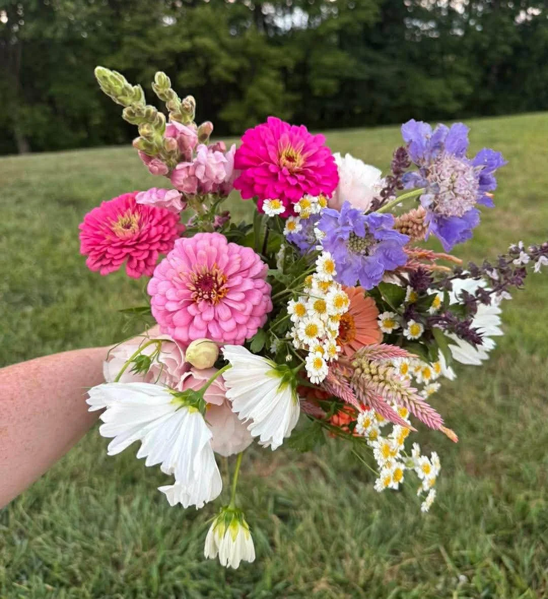 Summer Floral Subscription