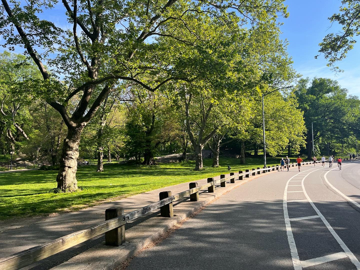 Stroll - Walk - Run -Ride

In a recent walk in @centralparknyc, I observed how the pathways were segmented by groups of activities. It in an odd way made me feel I belonged to a group of strangers with shared desires! Strangers were encouraging each 