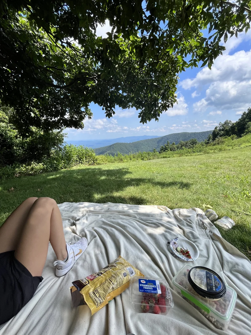 Picnic.jpeg
