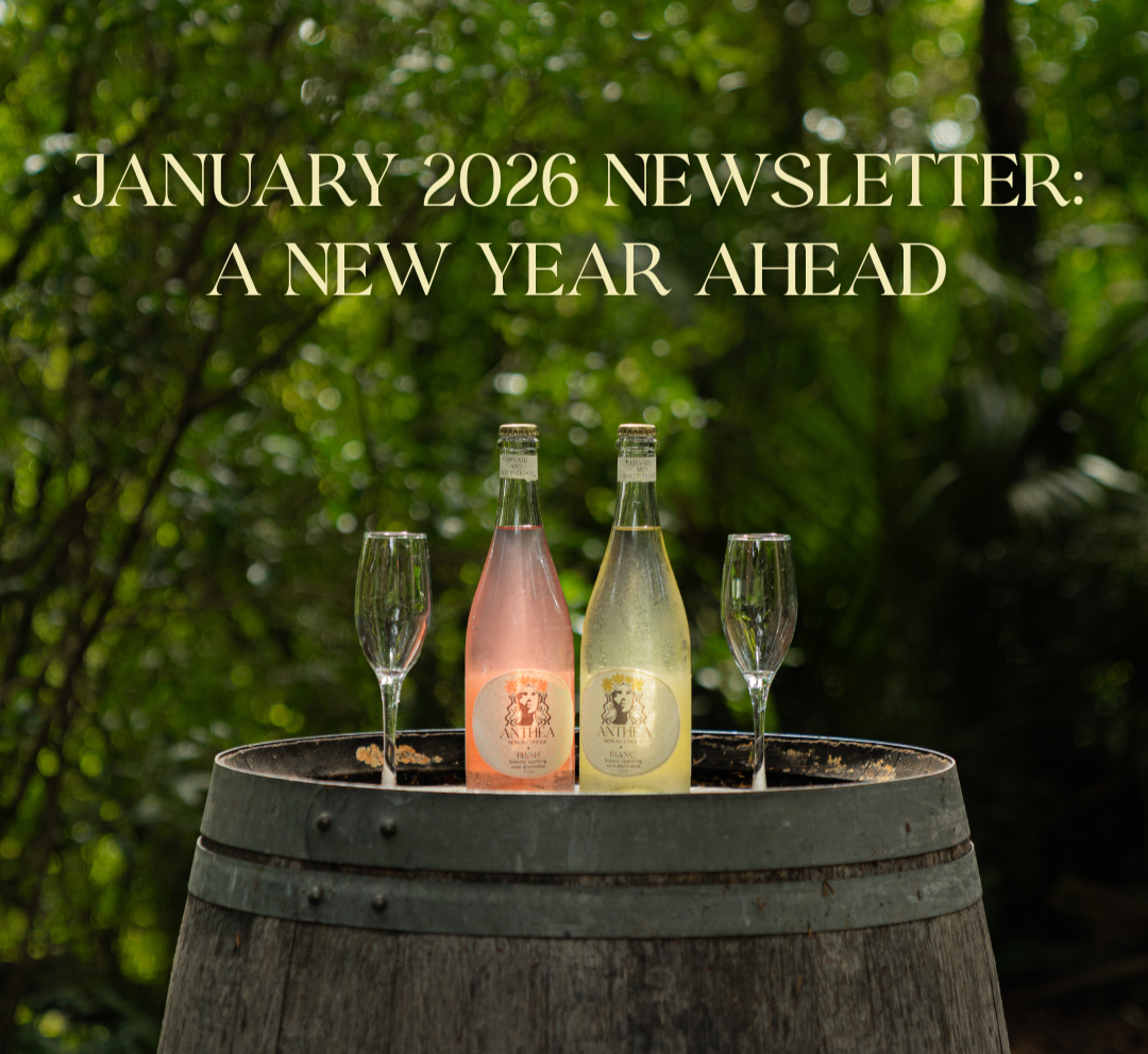 january 2026 newsletter