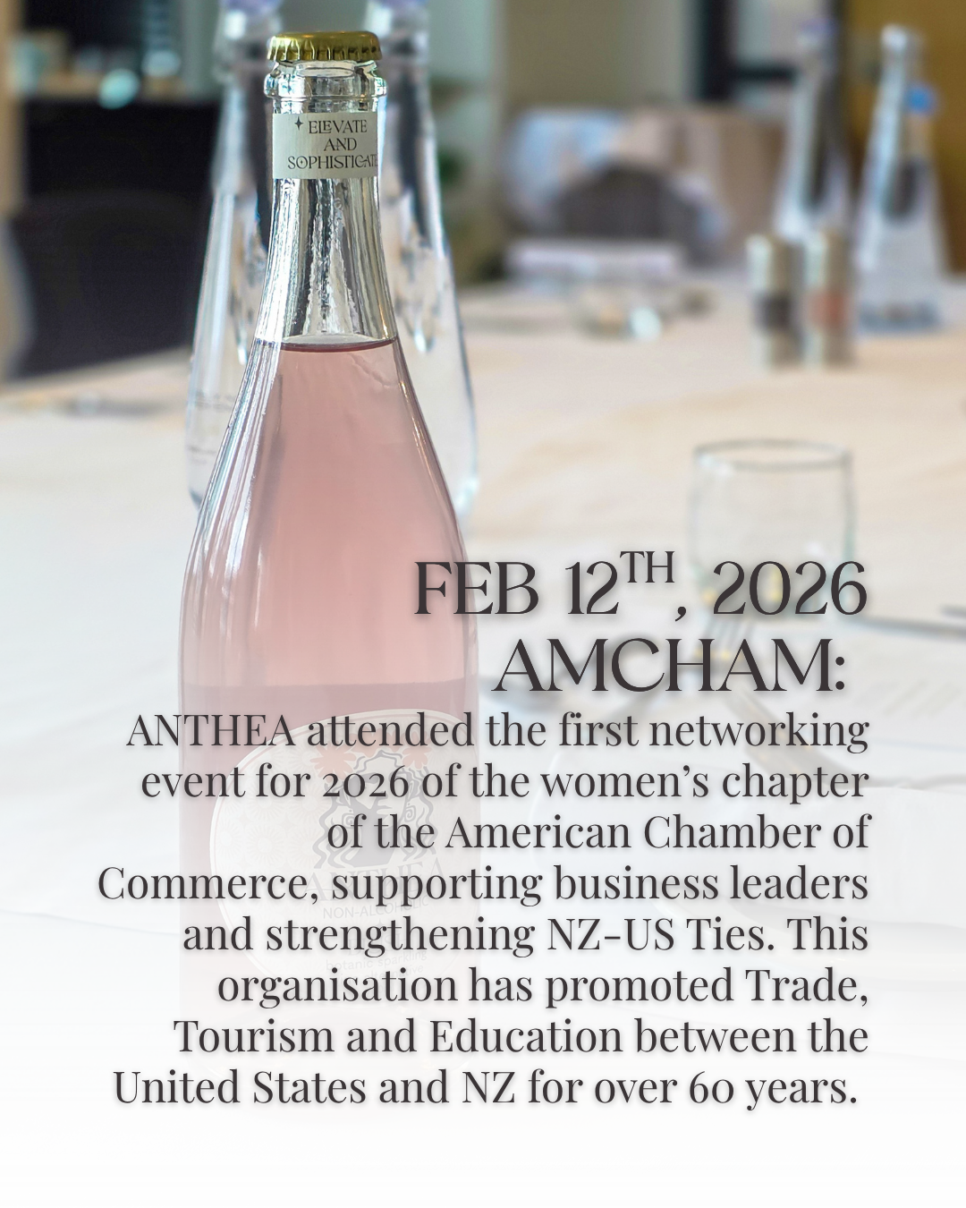 AMCHAM.png