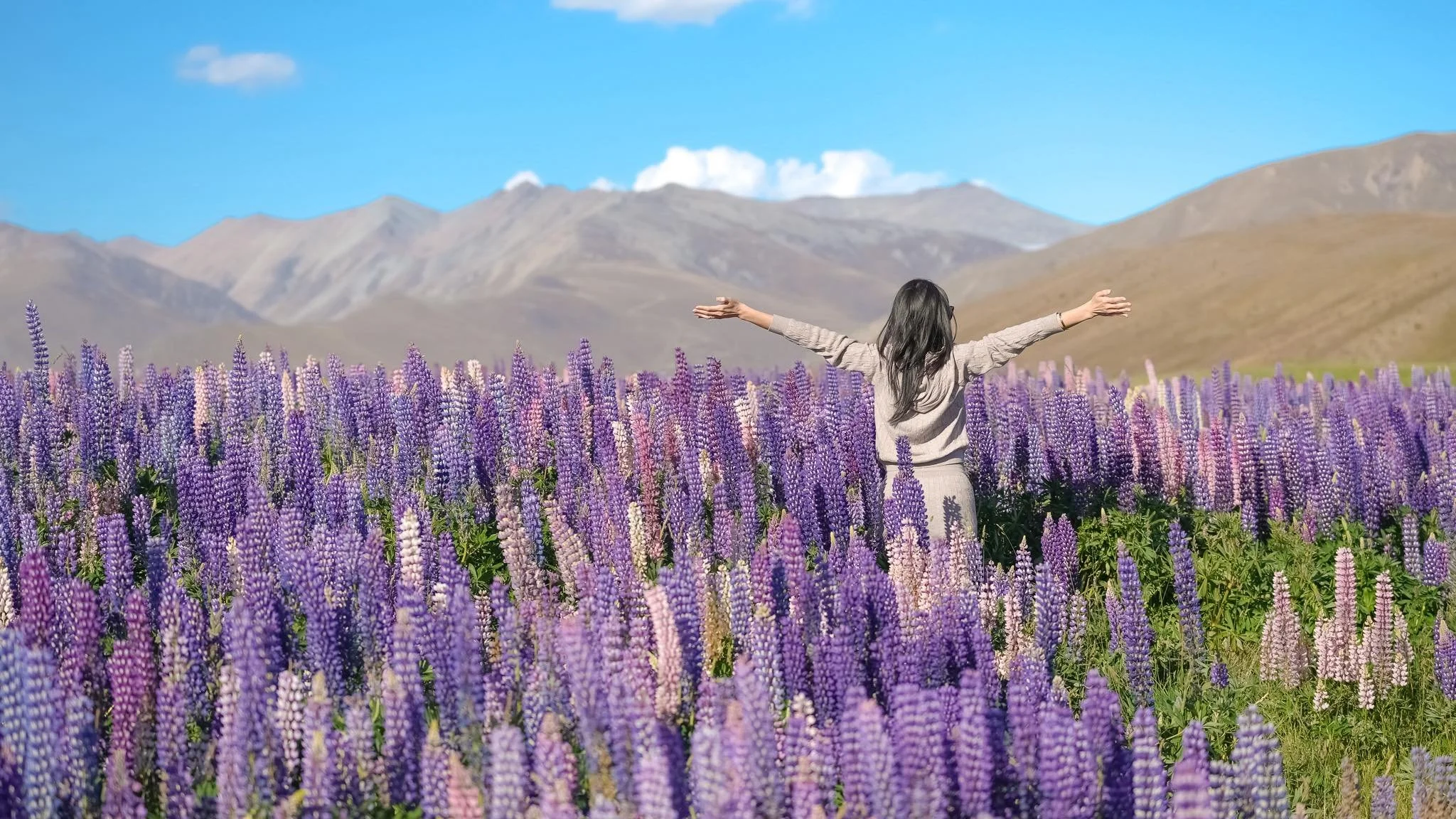 The Long Way to Finding Home in New Zealand