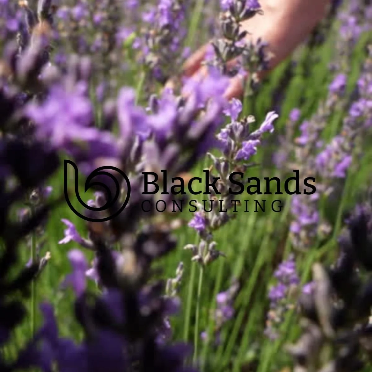 Good advice takes time — and care