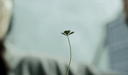 416-01.gif