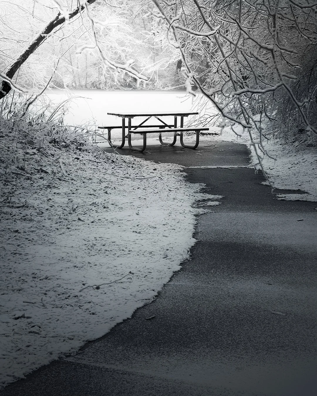 dormant_20210411.jpg