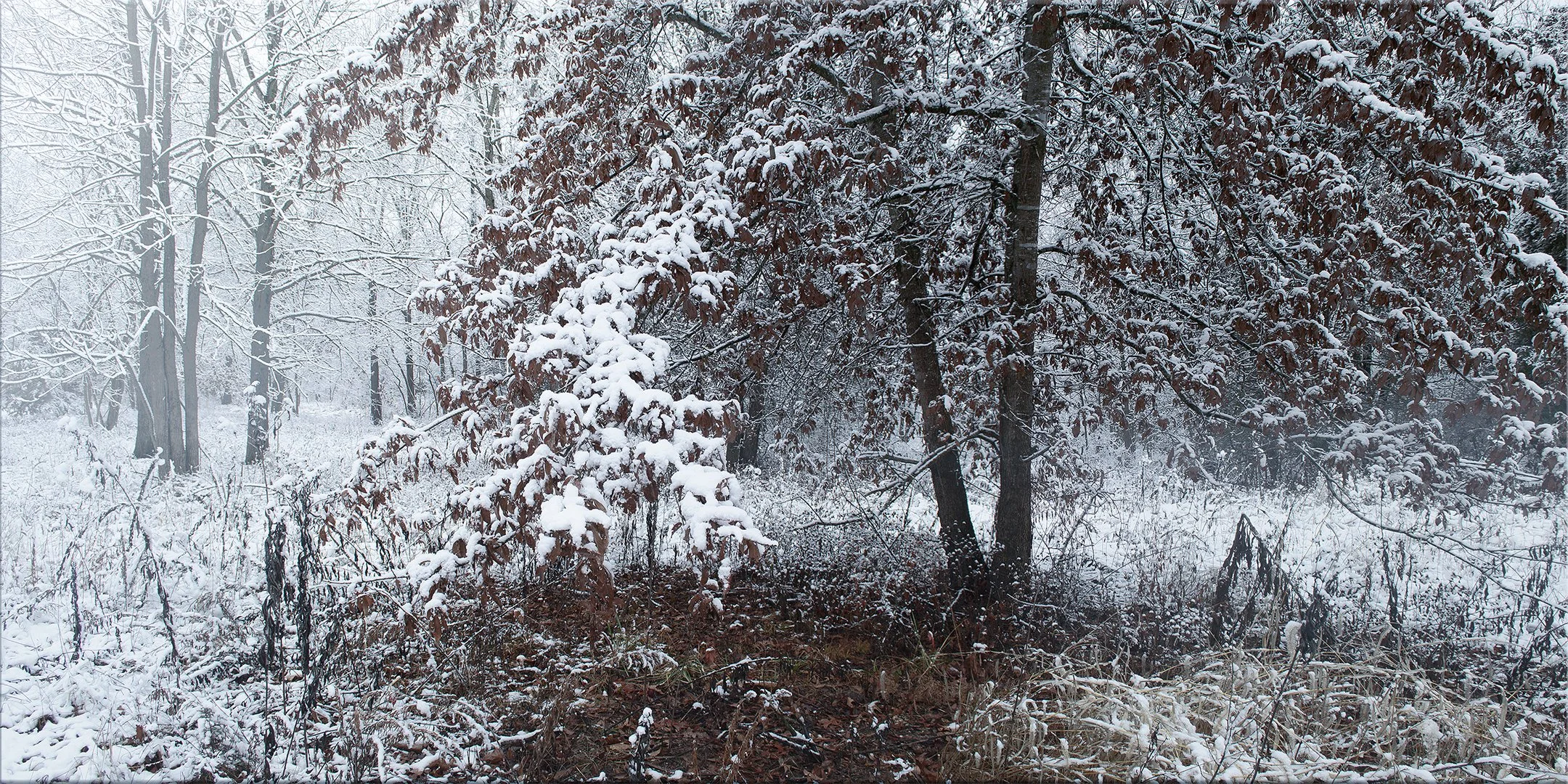three creeks snow_20240105.jpg