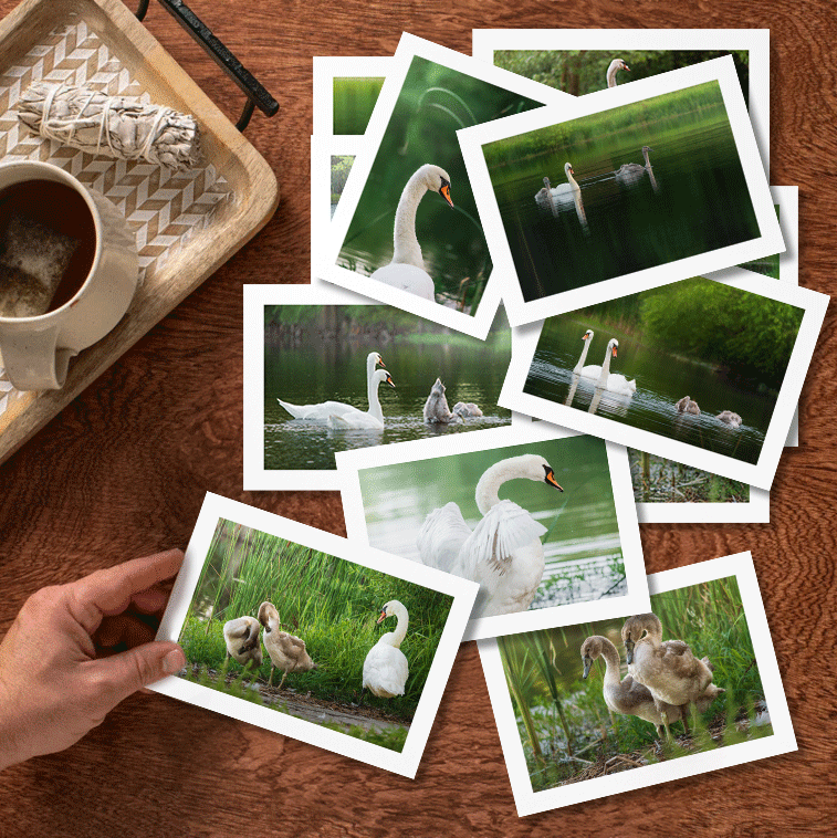 notecards-mock-up.png