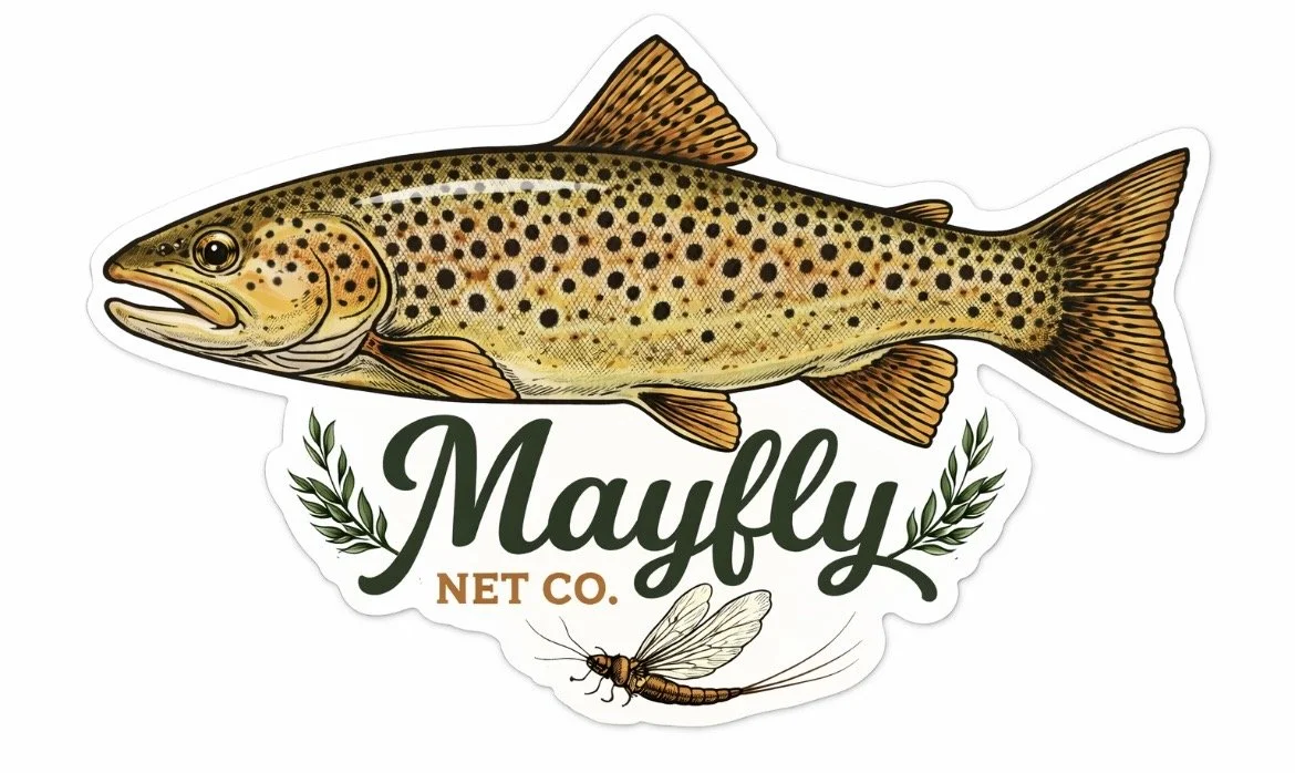 Brown trout sticker
