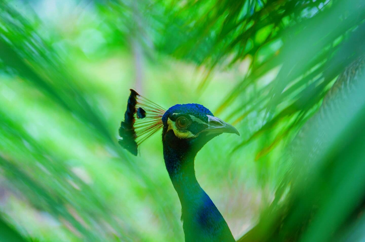 Still when it needs to be. In flight when it matters. Some things aren&rsquo;t here to impress &mdash; they&rsquo;re here to exist, fully and quietly.

There is a conversation long overdue around the most fundamental questions. How we live, eat, buil
