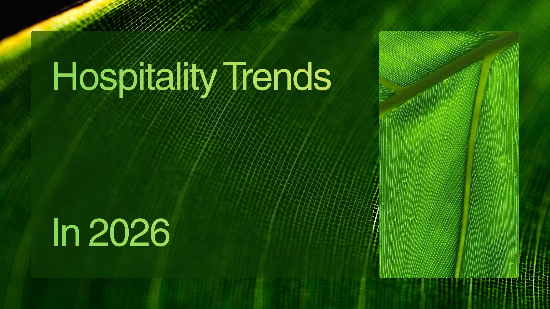Hospitality Trends In 2026