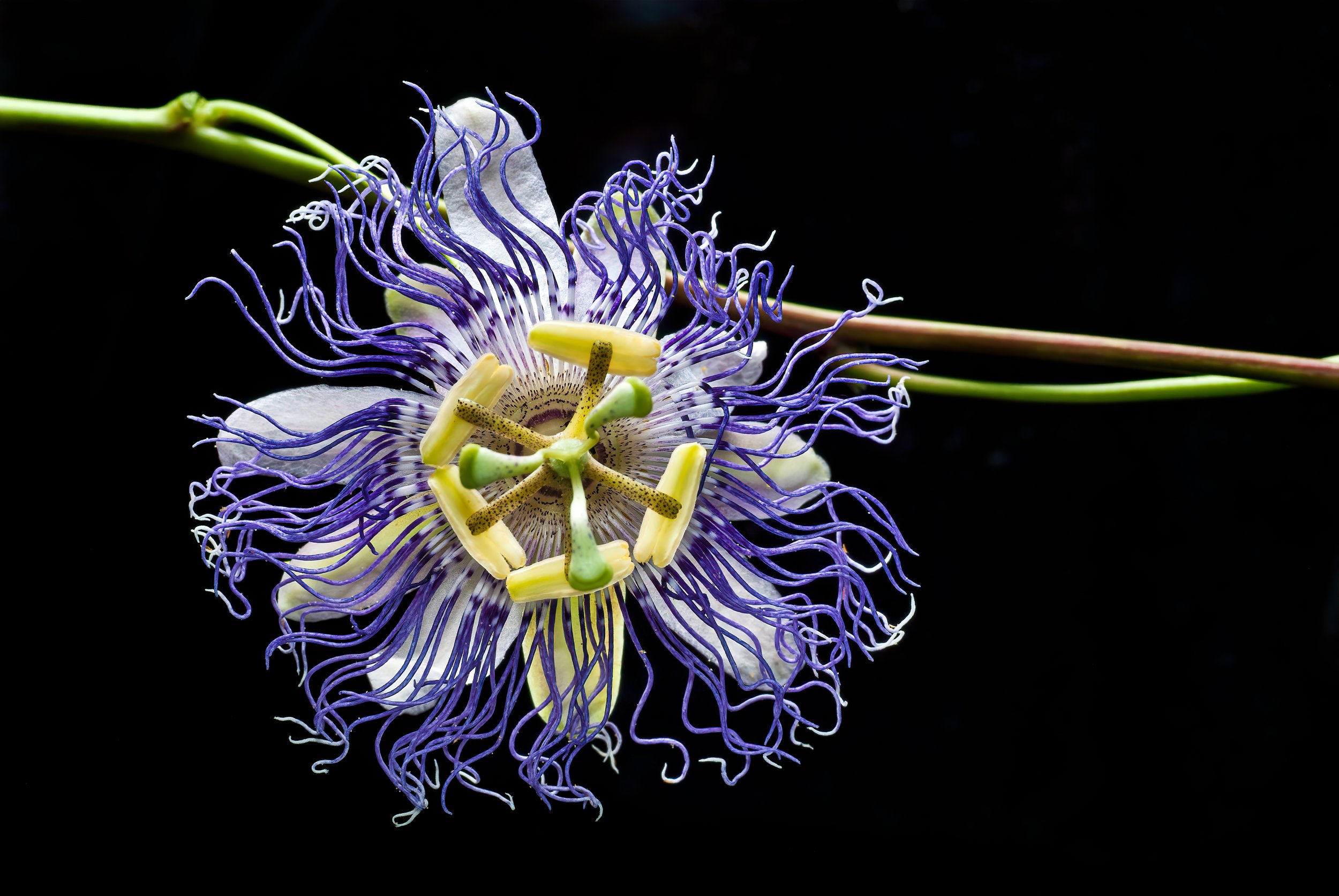AdobeStock_288959848.jpeg