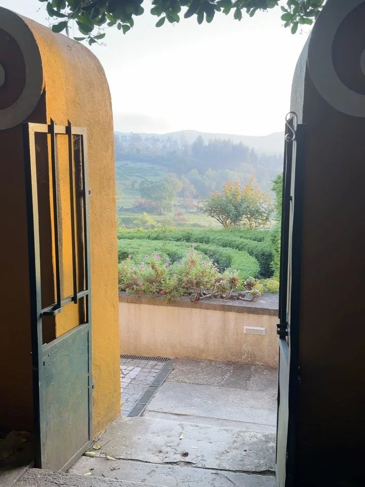 Sharing some beautiful memories from my Ecstatic Dance Facilitator Training with @dancethemedicine

A week-long experience in the Portuguese countryside, surrounded by nature and around 50 beautiful souls, all dedicated to bringing conscious dance to