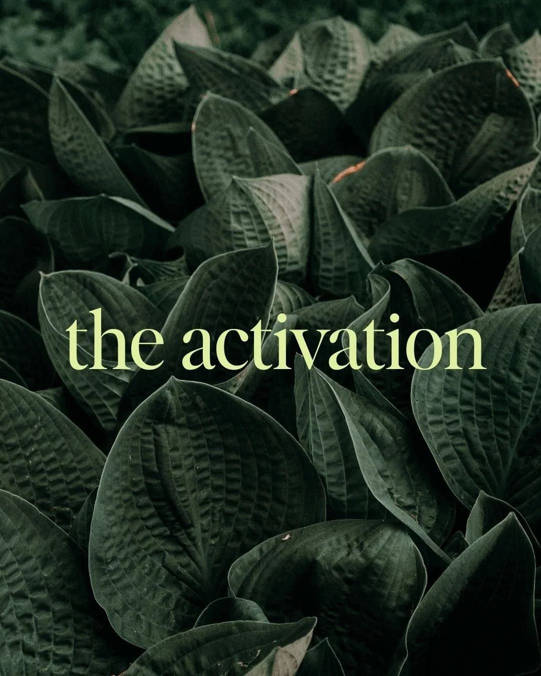The Activation