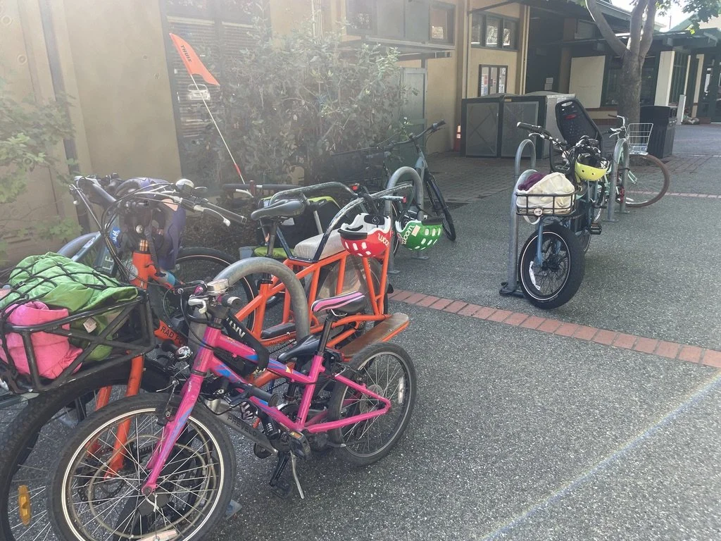 California considers regulation of E-bikes&nbsp;&nbsp;