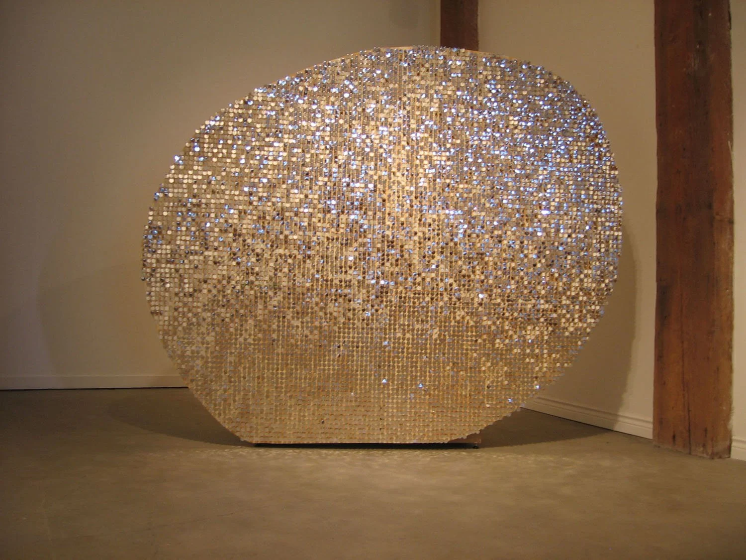 for Vancouver 2006, frontside.jpg