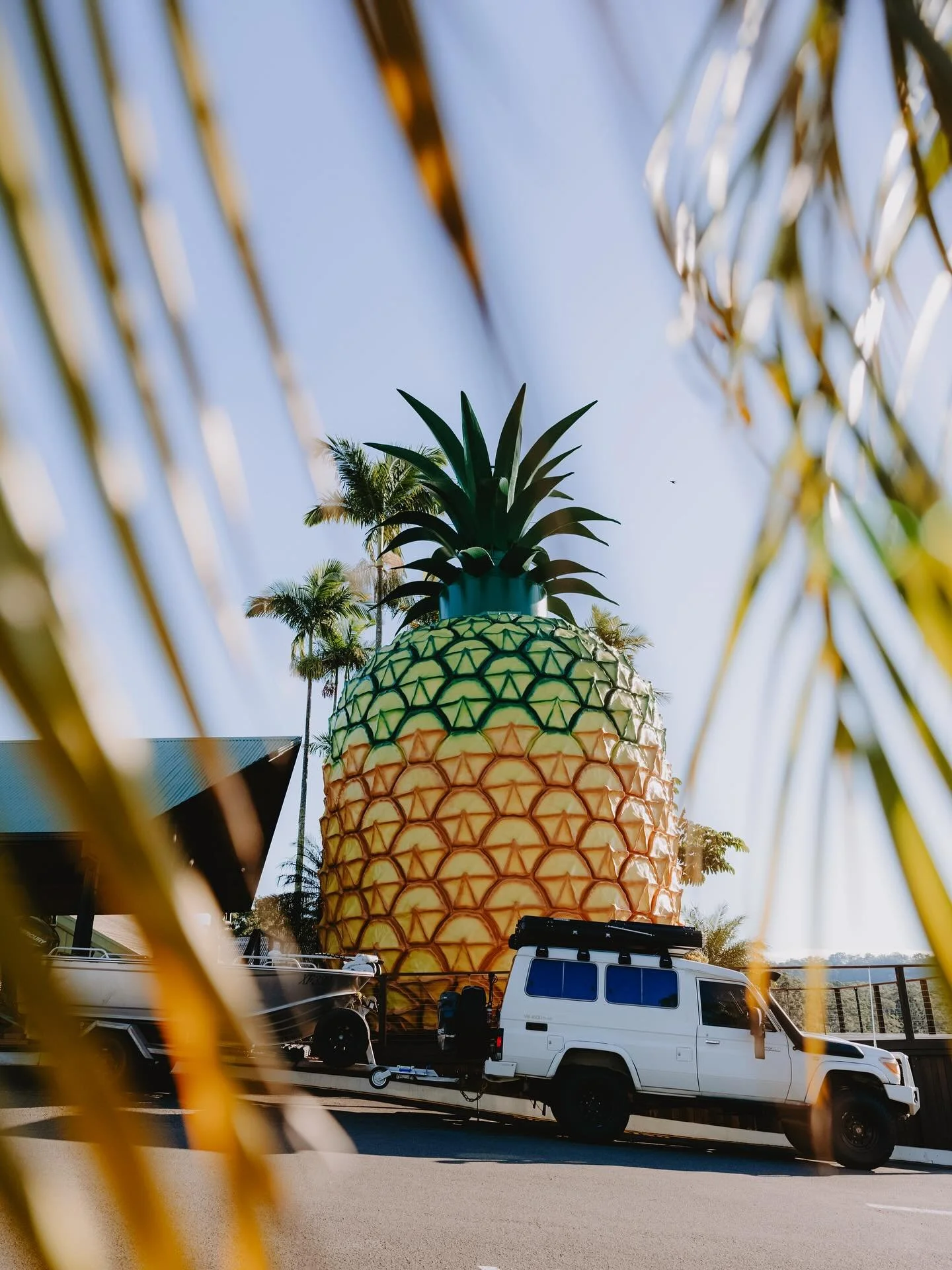 Good mates, good fish, good dogs & good times.. A couple days on the QLD mainland got our souls singing ππΌβ¨πΊπ΄π